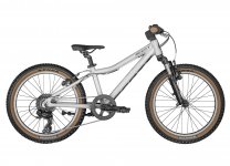 Scott Scale 20 Silber